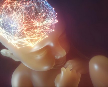 A link to autism in food -- not vaccines Is there a connection between some processed foods and autism?